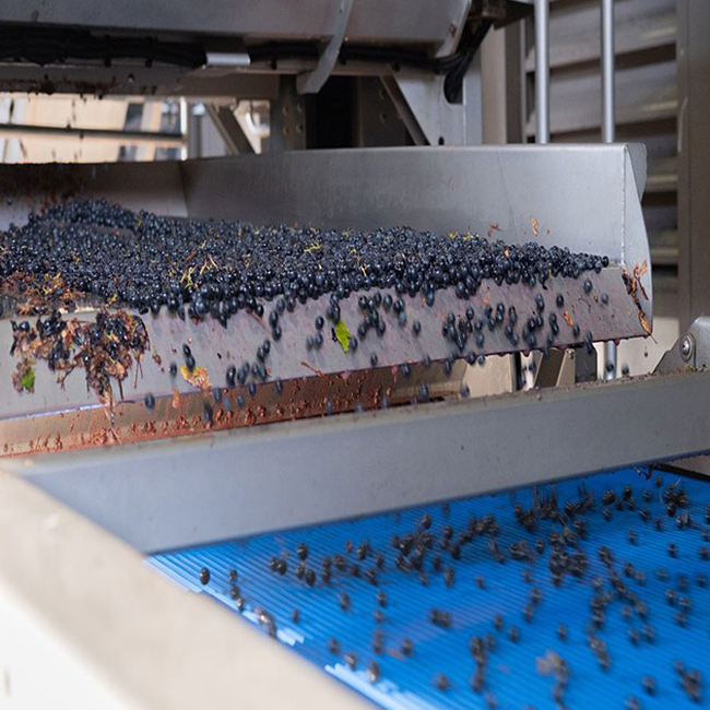 Alpha Omega Winemaker