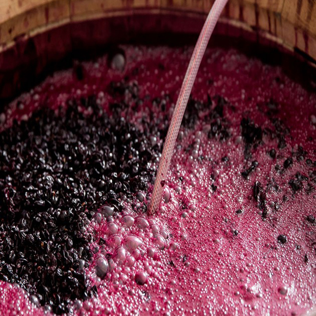 Alpha Omega Barrel Fermentaion