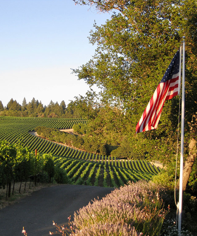 Alpha Omega Sacrashe Vineyard