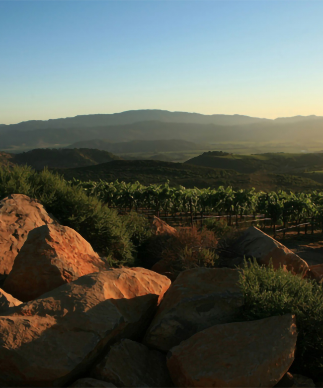 Alpha Omega Stagecoach Vineyards