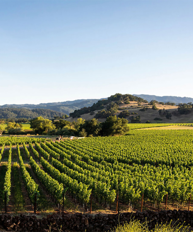 Alpha Omega Tench Vineyards