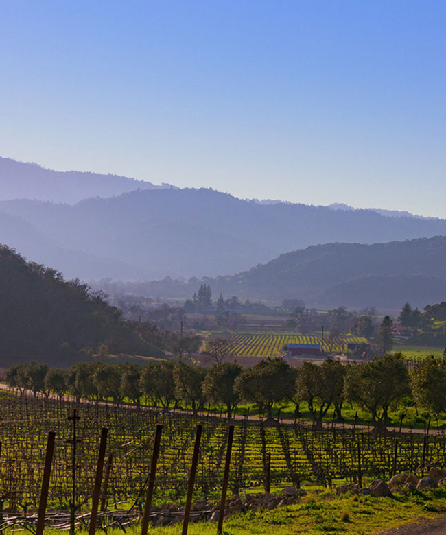 Alpha Omega Houyi Vineyard