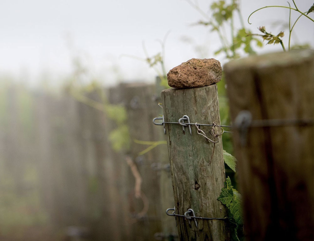 Alpha Omega Philanthropy